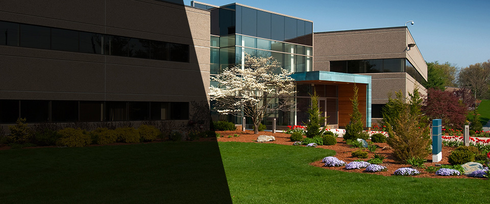 Cape Coral Landscapers