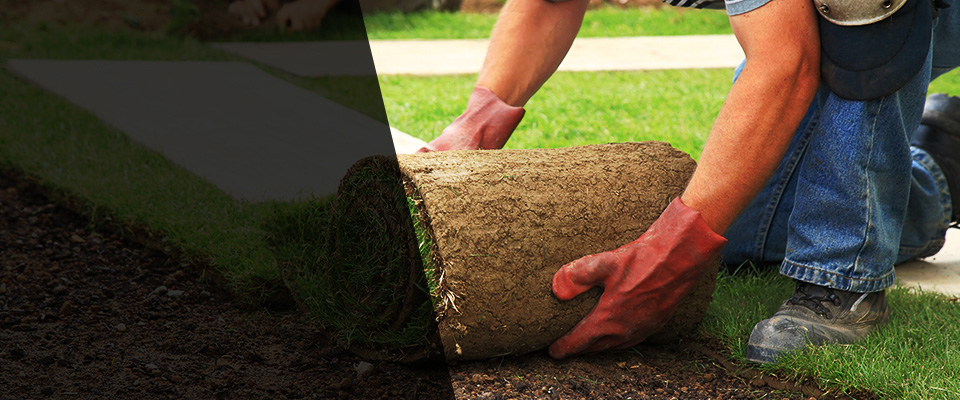 Cape Coral Landscapers